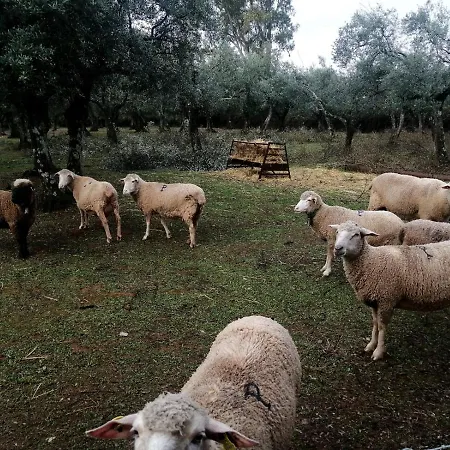 El Venero De Mostoles
